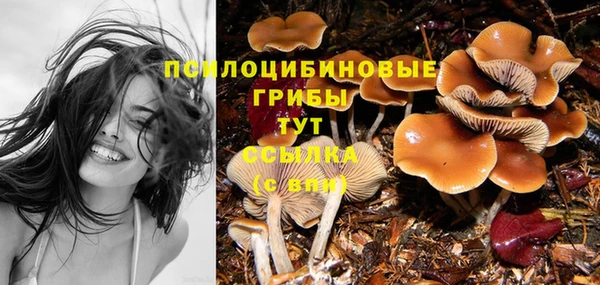 альфа пвп VHQ Гусиноозёрск