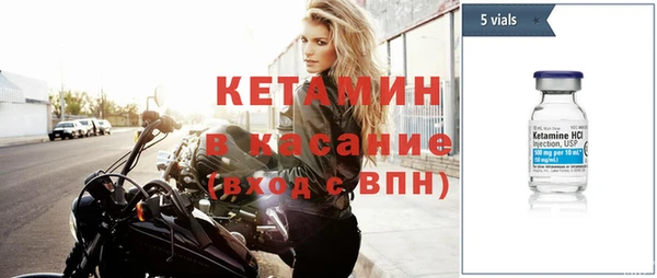 шишки Гусев