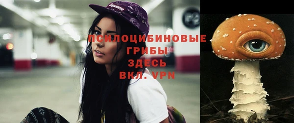 шишки Гусев