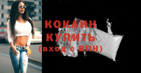шишки Гусев