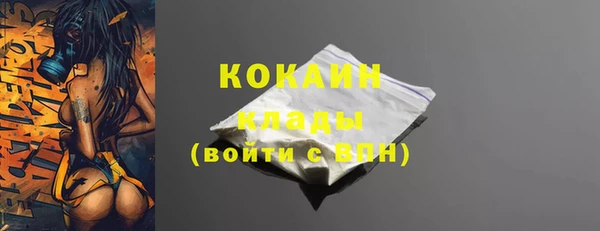 шишки Гусев