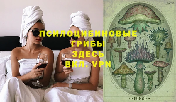 шишки Гусев