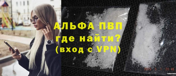шишки Гусев