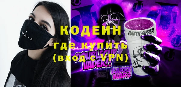 шишки Гусев