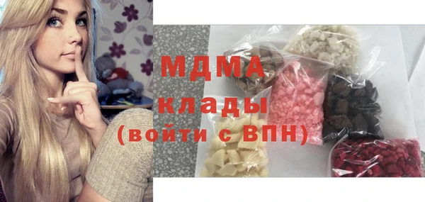 шишки Гусев