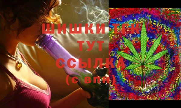 шишки Гусев